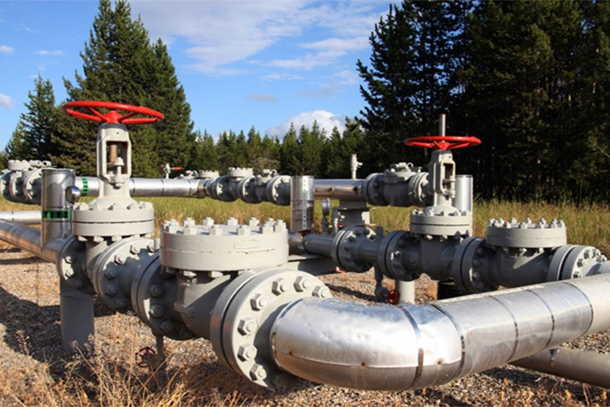 API 6D Ball, Gate & Check Valves 3 API 6D compliant valves supplied by C-Way Engineering Exports for EPC pipeline project