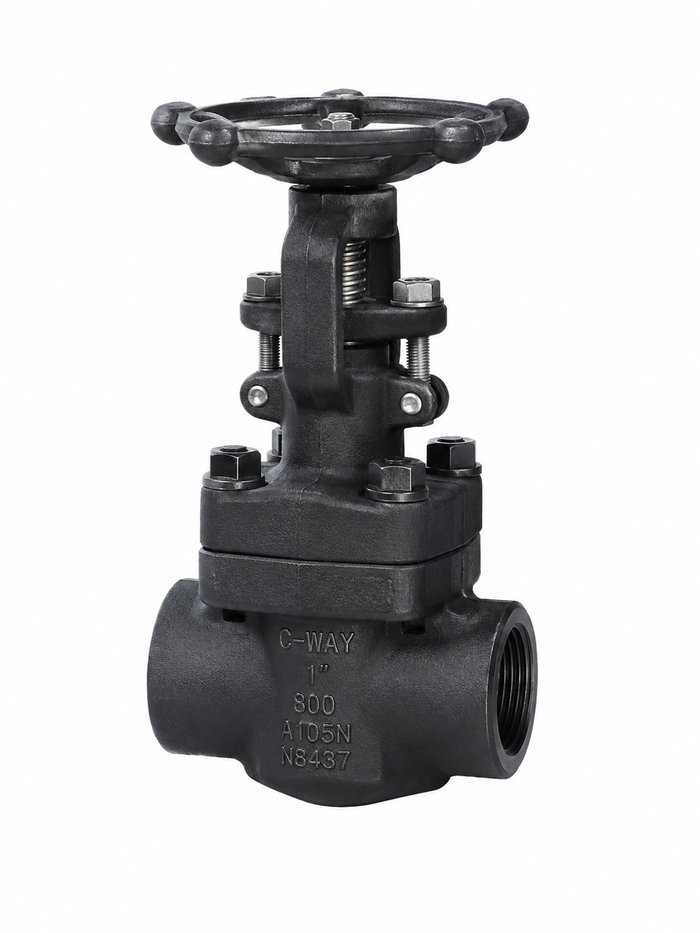 Forged Steel Gate Valve Overview