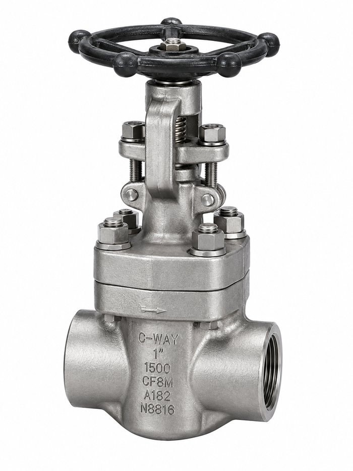 Class 1500 Forged Steel Gate Valve