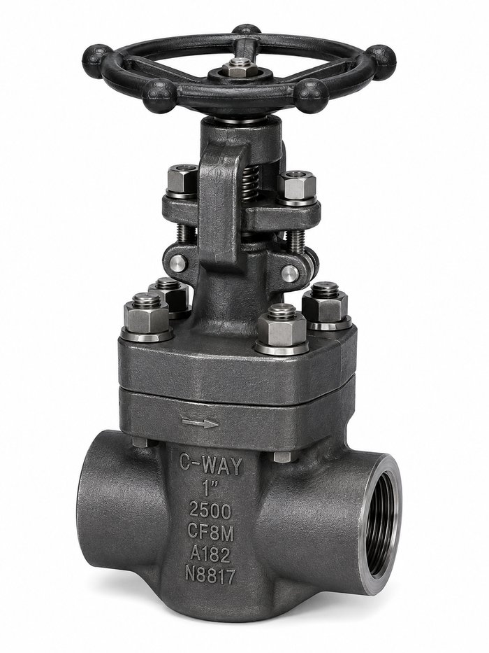 Class 2500 Forged Steel Gate Valve