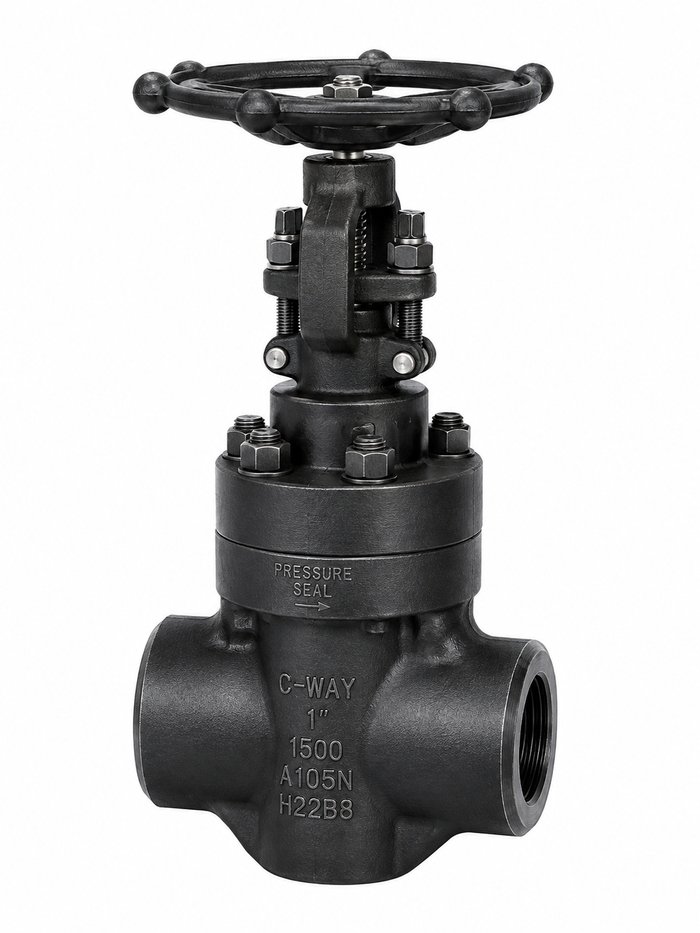 Pressure Seal Forged Steel Gate Valve