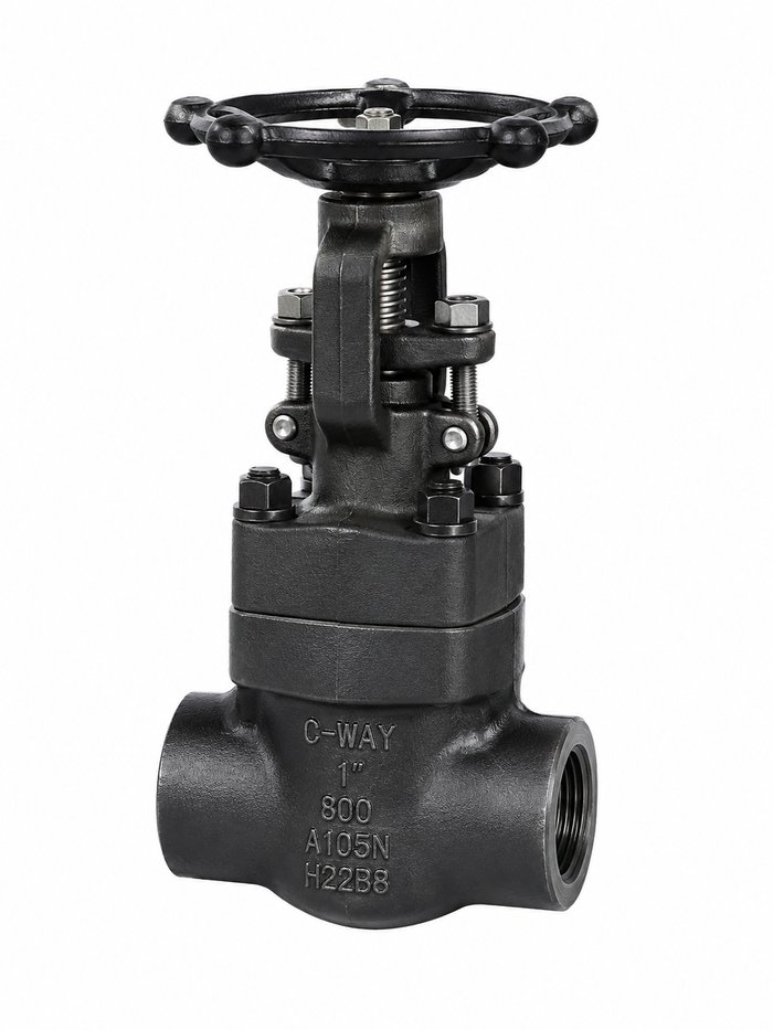 Welded Bonnet Forged Steel Gate Valve