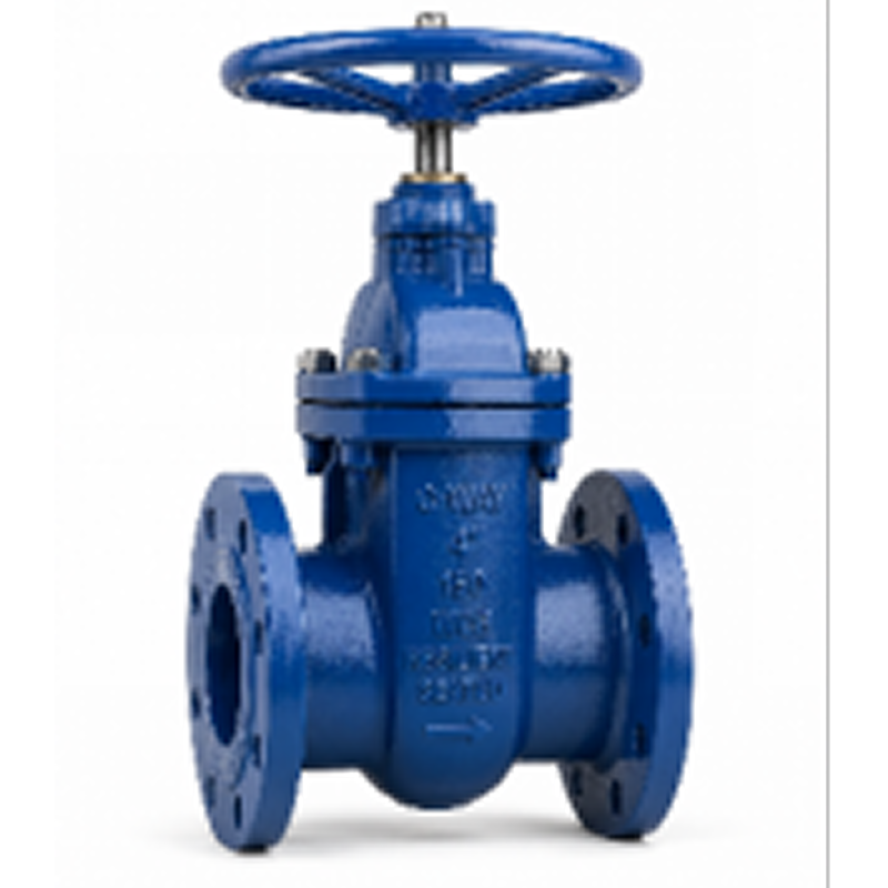 Resilient Seated Gate Valve