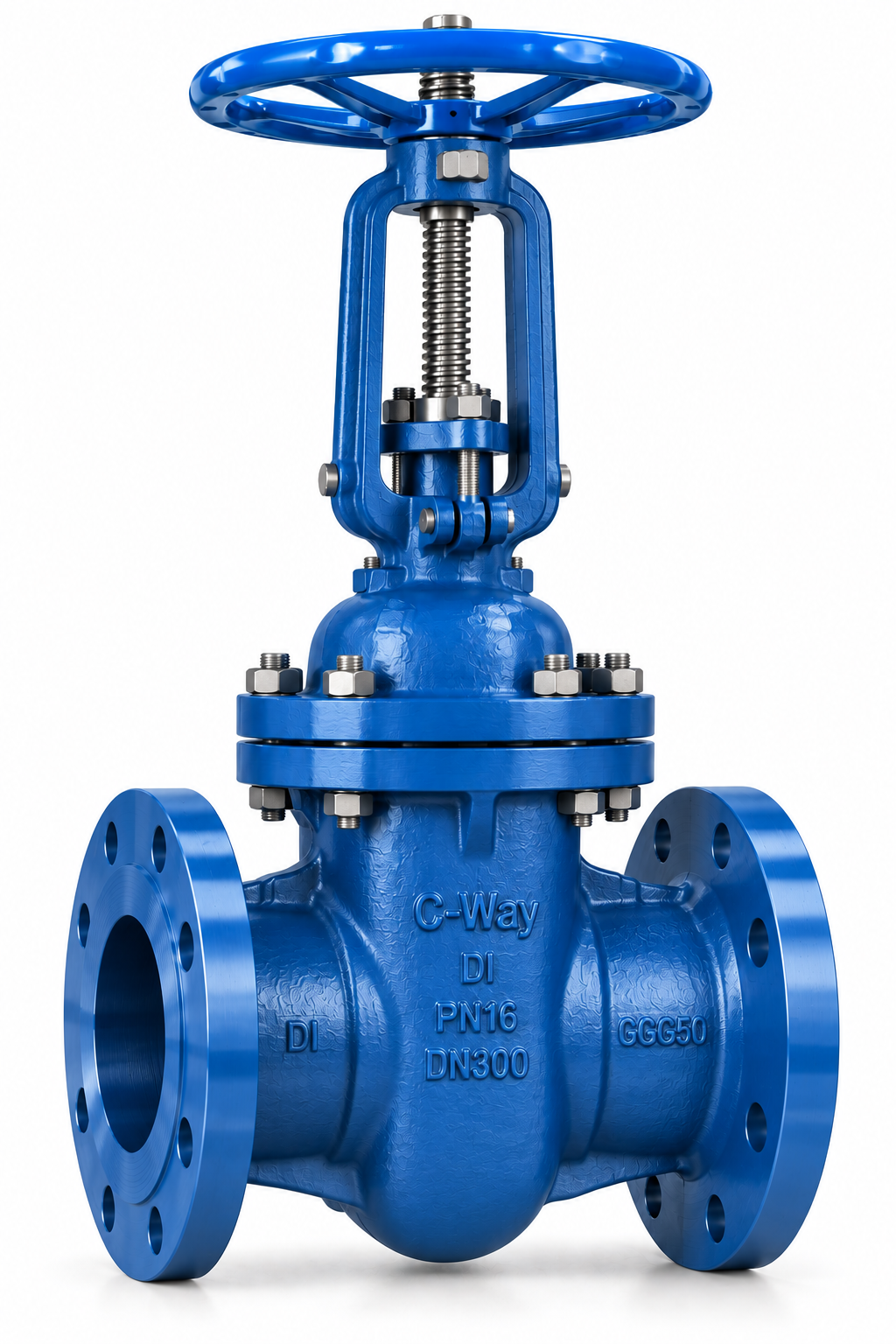 Ductile Iron Rising Stem Gate Valve