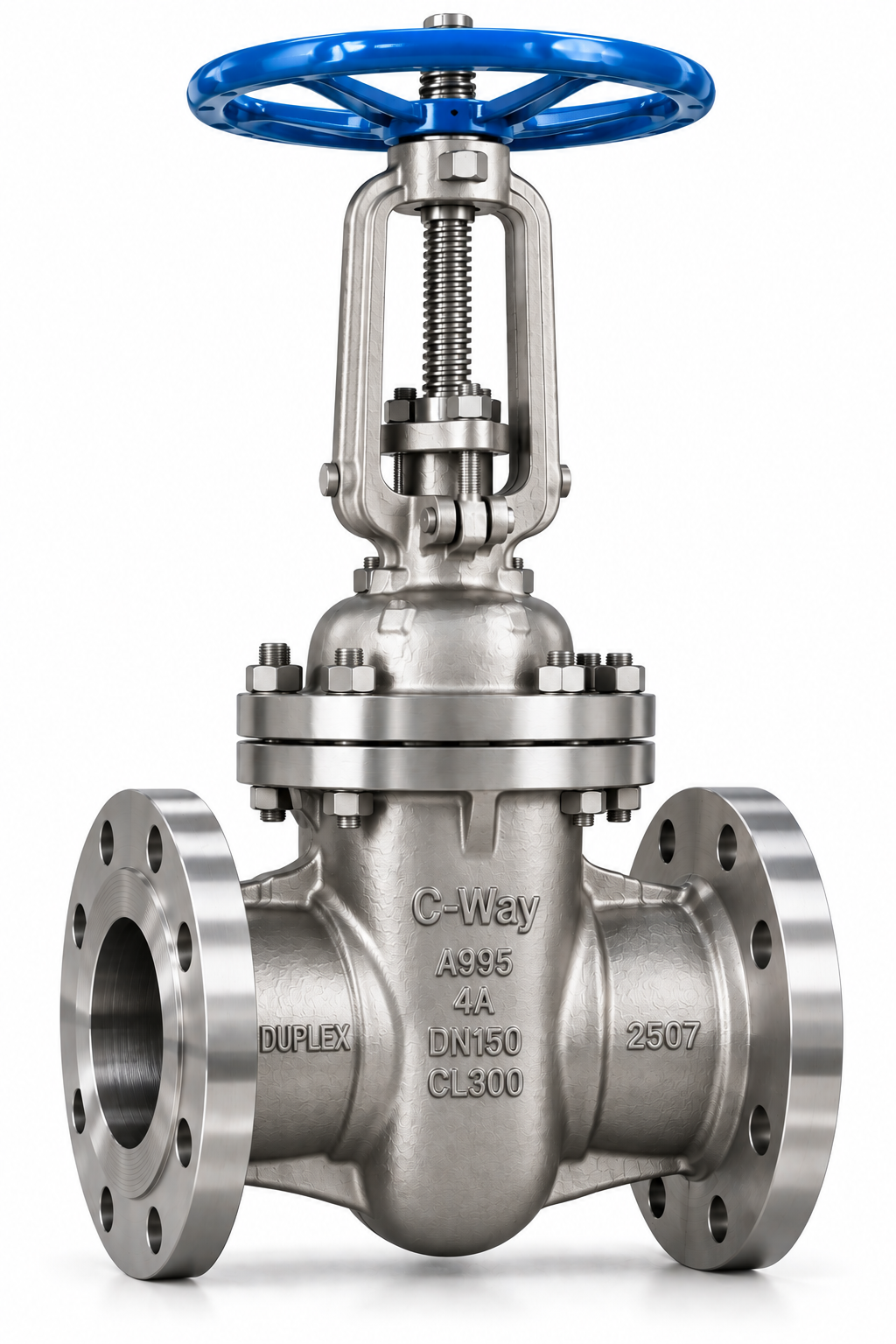 Duplex & Super Duplex Rising Stem Gate Valve
