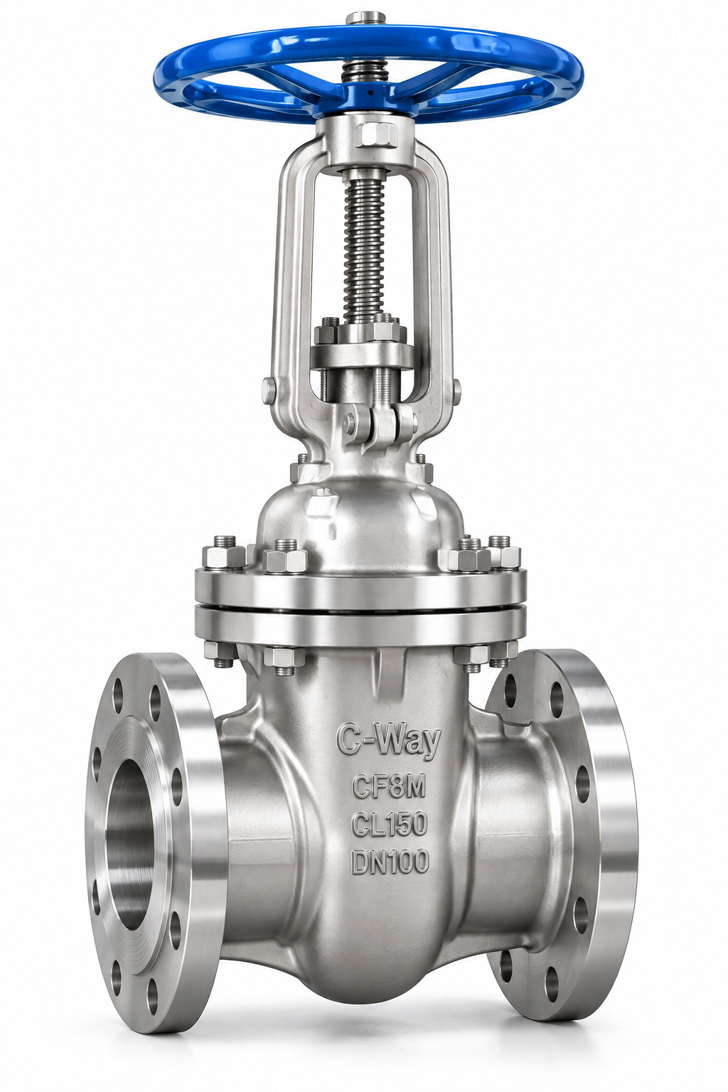 Stainless Steel Rising Stem Gate Valve