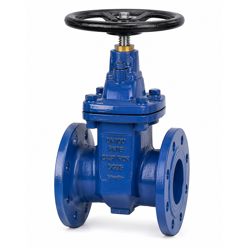 Cast Iron Wedge Gate Valve